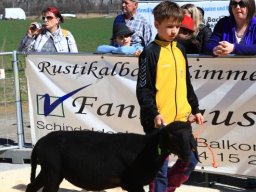 2019_ausstellung polling_393